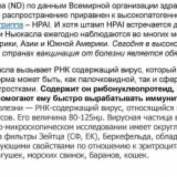 Newcastle bolest u pilića i brojlera - liječenje i simptomi